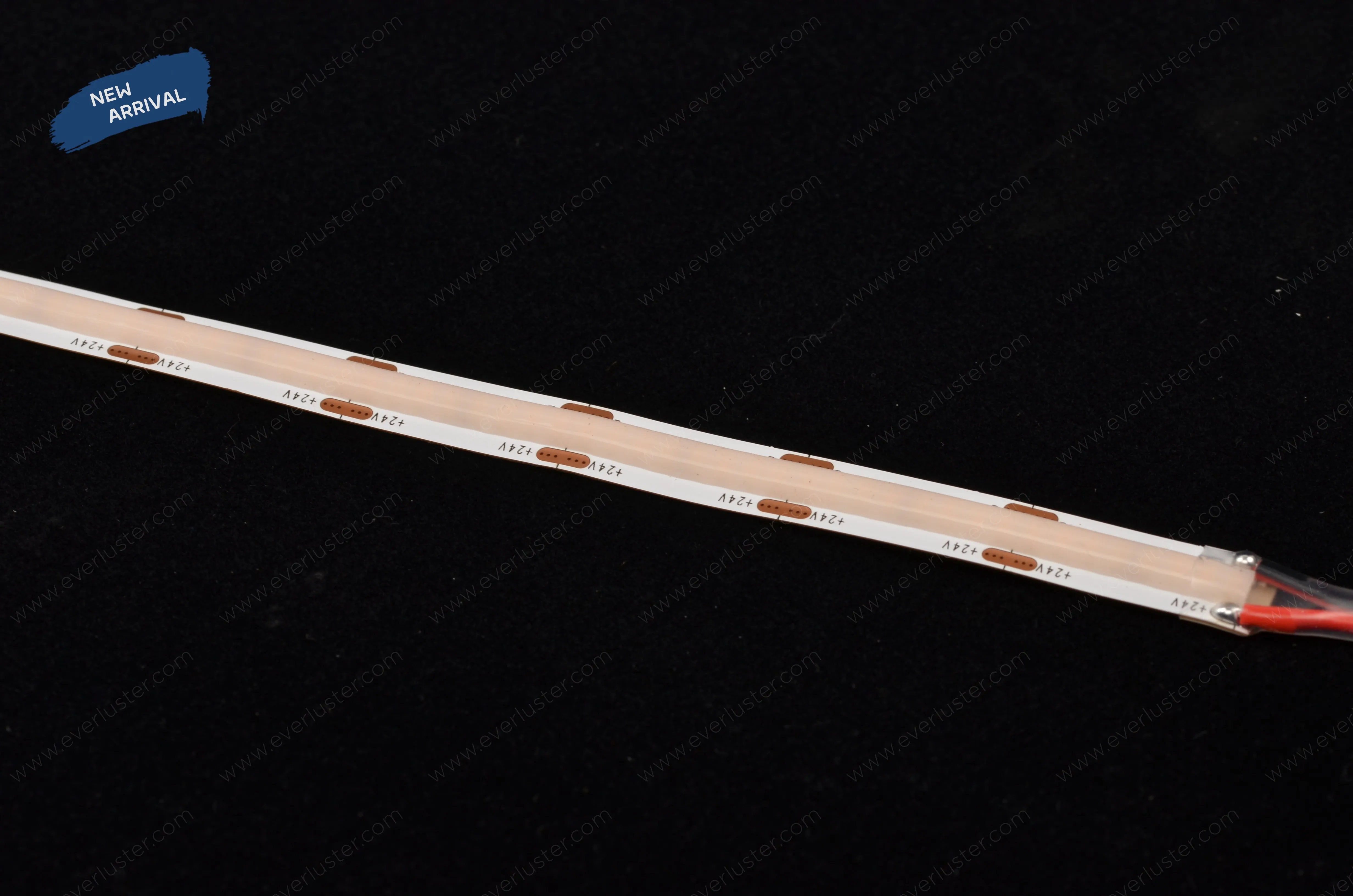 New COB strip pro series